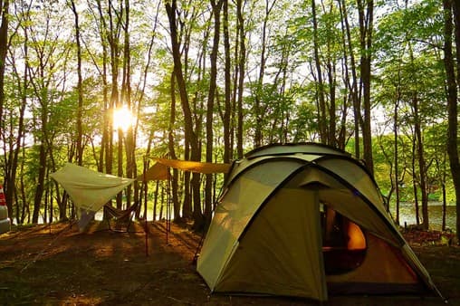 厚真町の森でキャンプを楽しむ様子