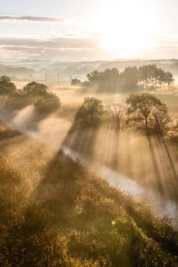 厚真町の朝霧に包まれた田園風景